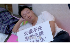 海西为什么选择专业追讨公司来处理您的债务纠纷？